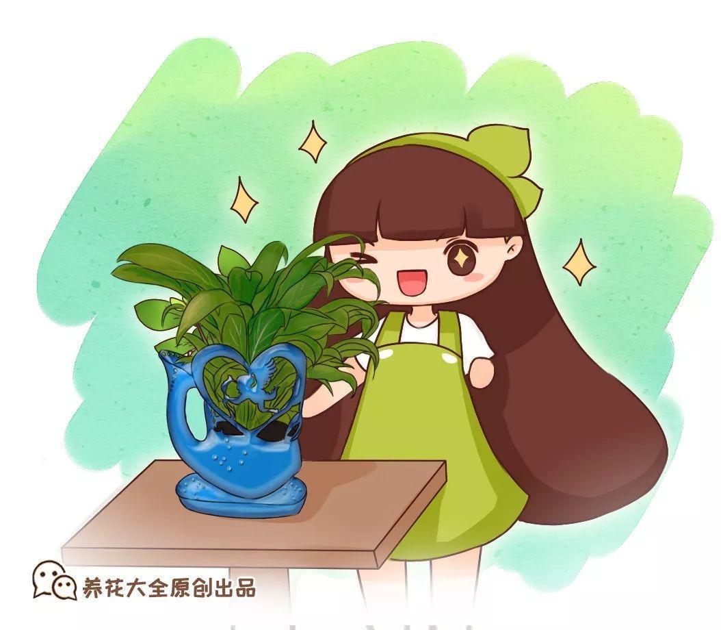 养花人最不该丢的, 就是洗衣液桶, 摇身一变就成艺术品!