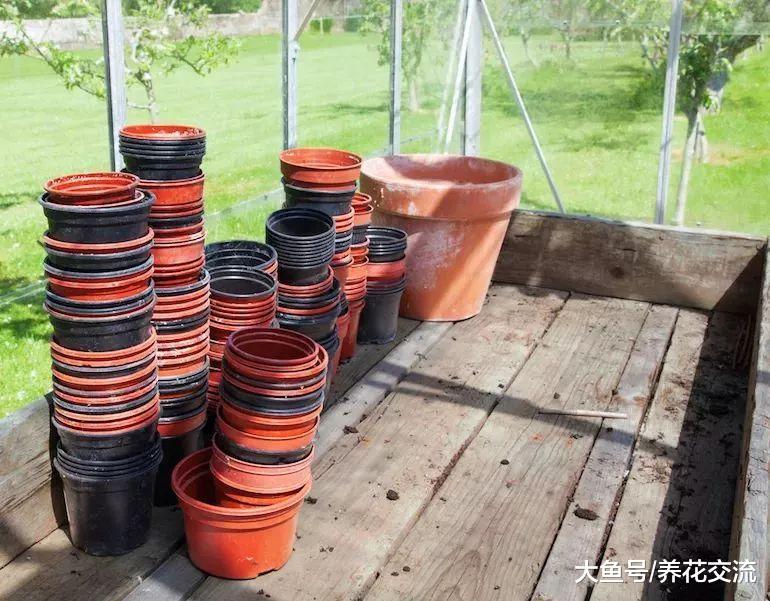 秋末打理庭院花园需要做好的10个准备, 养花也要注意细节