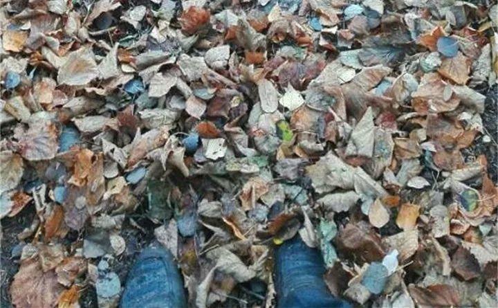 城里人就用这种土, 啥花都能养得好, 简单实用不花钱!