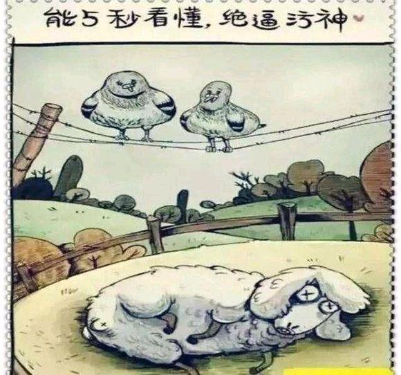 能5秒看懂的，绝对是污神