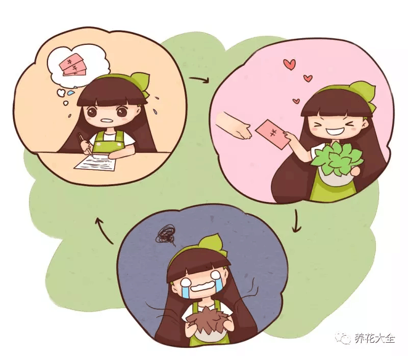 新买的花养成这副鬼样子, 差距太大, 真想扔掉!