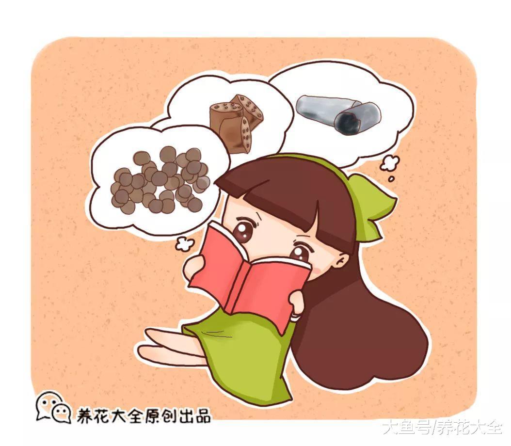 这6种小东西, 可是养花的宝贝, 用了再也不怕兰花烂根了!