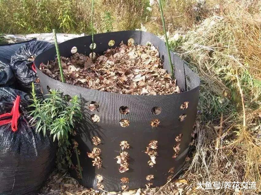 动物的粪便变成促进植物生长的堆肥, 两三个月就能变成健康的肥料