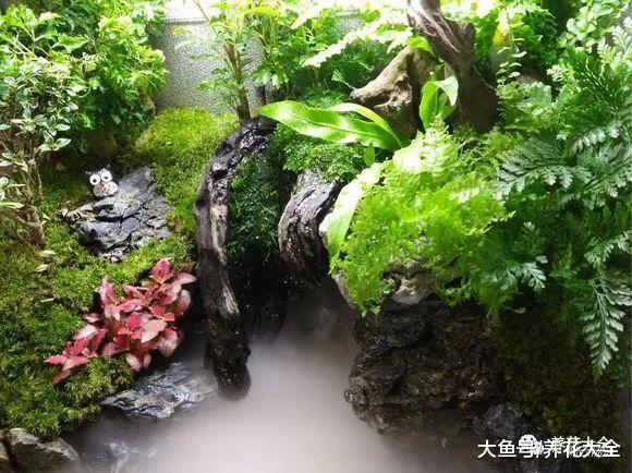 把花塞进玻璃瓶, 叶子变得油绿发亮, 就是一个小花园!