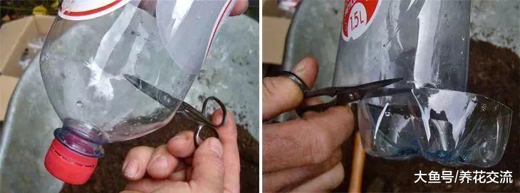 五种制作垂直园艺的小技巧, 废弃的瓶子都能养出一片花园菜园