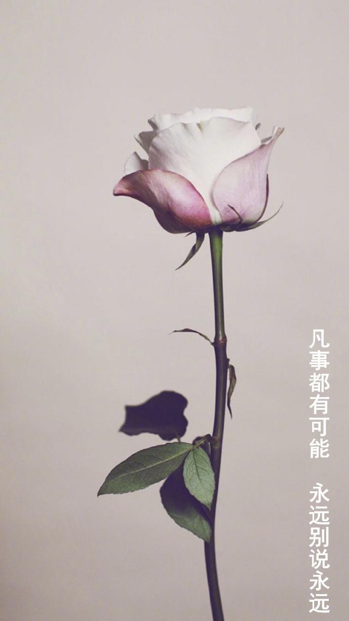 没有距离, 没有合不合适, 配不配, 距离不是问题, 问题是······