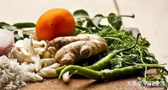 这些草药可以养在室内作为盆栽观赏, 还能成为厨房菜肴