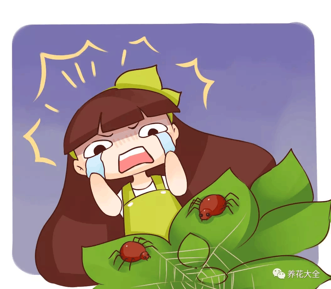 盆里撒把灰, 虫子全死光, 花蹭蹭冒绿芽!