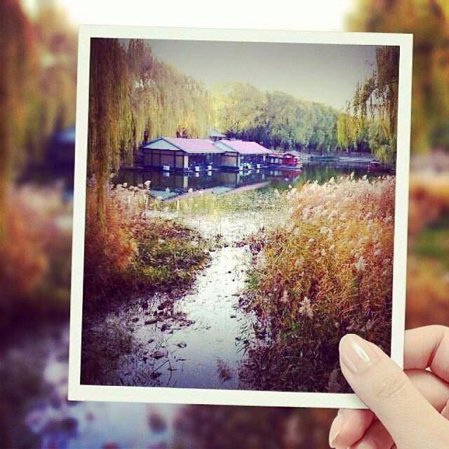 欣赏与深思这十句话, 你会更成熟