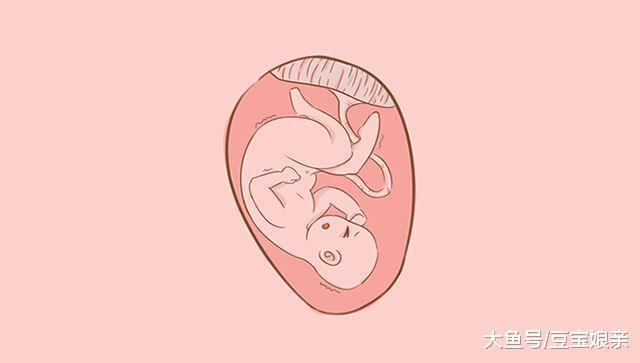 胎心可以判断出宝宝的性别? 这种说法是真的吗?