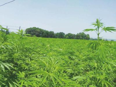 不论男女, 早晨没有出现这几个状况, 说明你身体健康, 易长寿