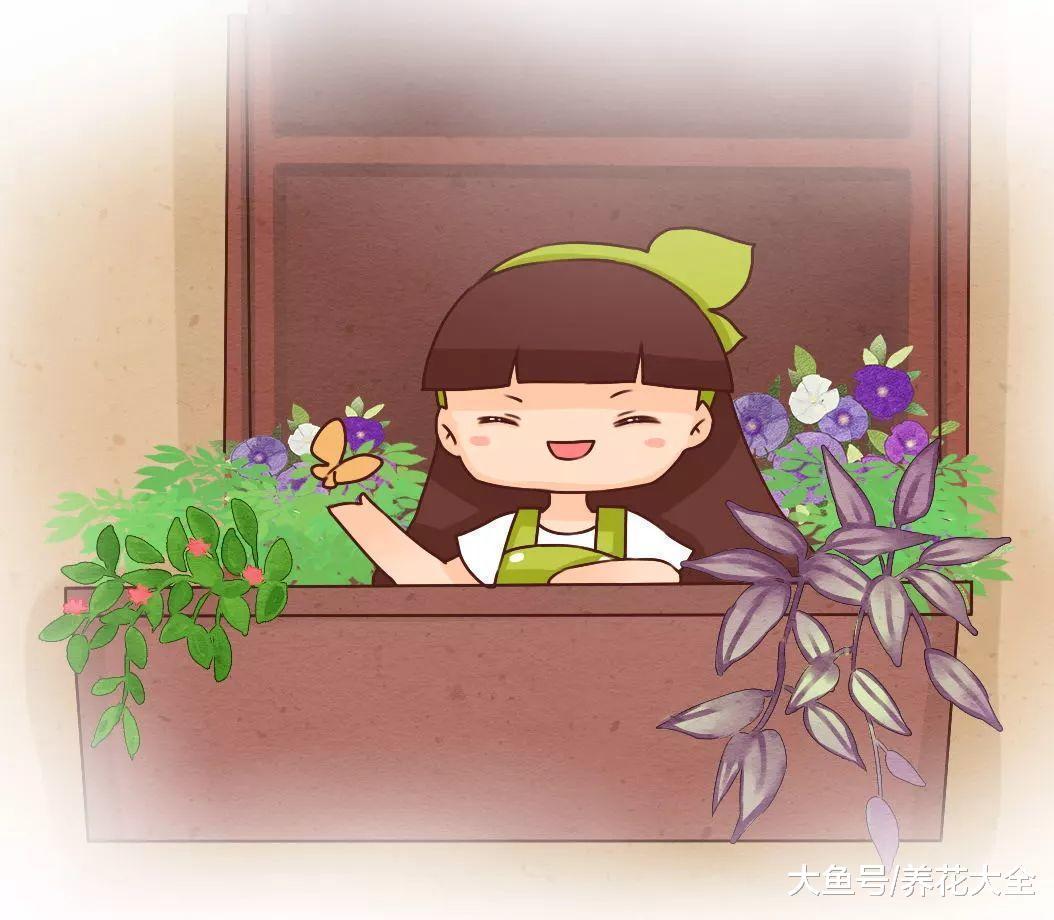 赏花品茶, 还有猫相伴, 这样的生活才是最惬意的!