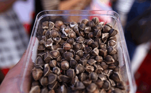 白酒最怕的大克星, 喝酒前偷偷吃两粒, 白酒啤酒混着喝也不会醉