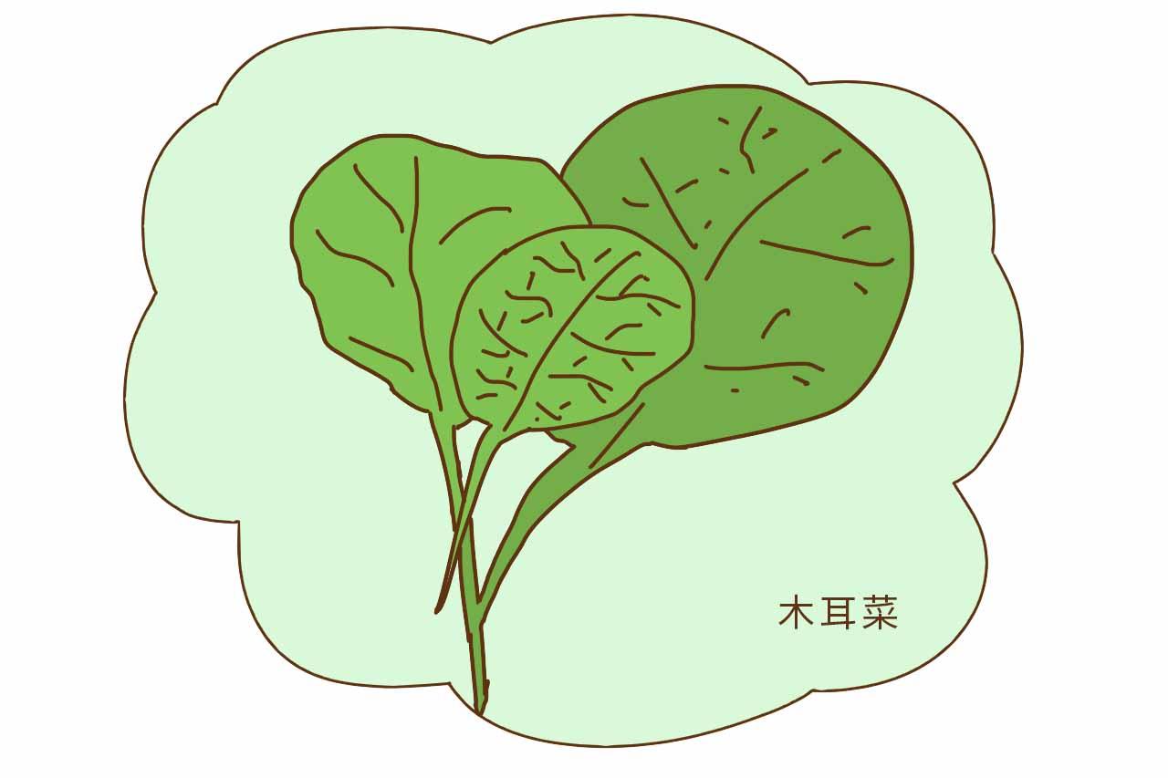 怀孕后, 这五种蔬菜该忌口了, 对胎宝宝的发育没好处