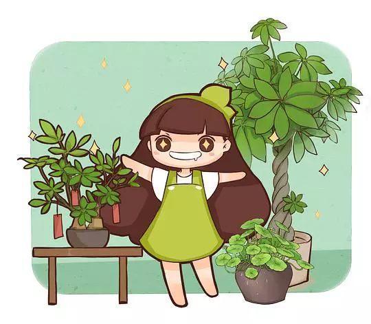 这花就是金罐子, 家里养几盆, 秒变小森林!