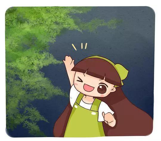 家里养盆它, 叶子翠绿茂盛, 空气也越来越好!