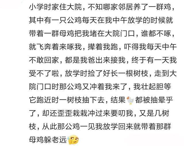 年少时你有没有被家禽怼过? 笑的我滚到桌子下面去了