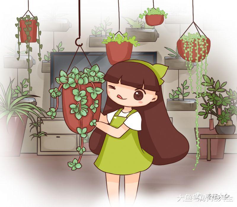 出门捡个木桩, 这样简单一改造, 用来养肉防烂根!