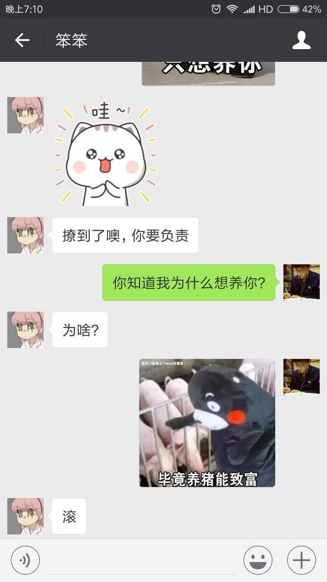 情侣日常聊天套路: “我想养个宠物”