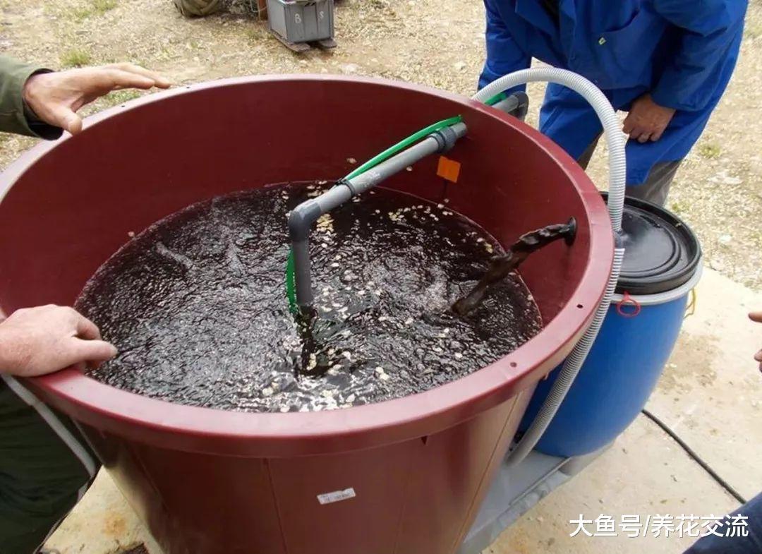 制作堆肥溶液简单的一些技巧, 注意这几点就行了
