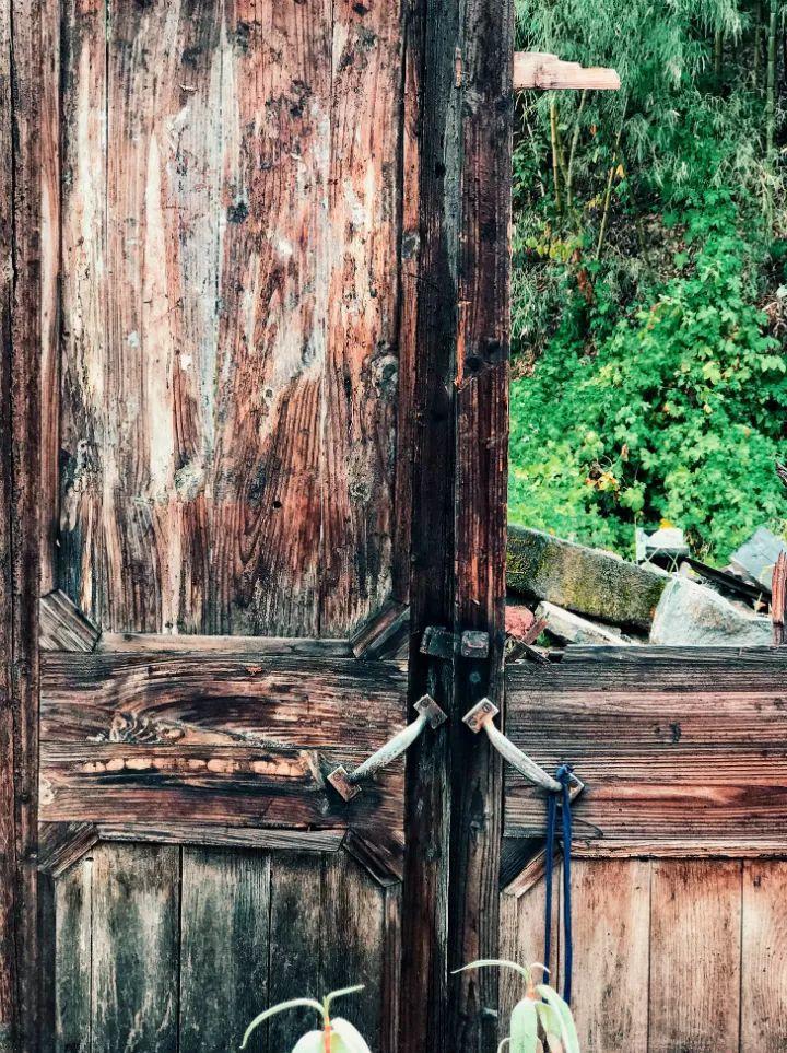 想要养花? 那就别再等, 不然留下的只有遗憾!