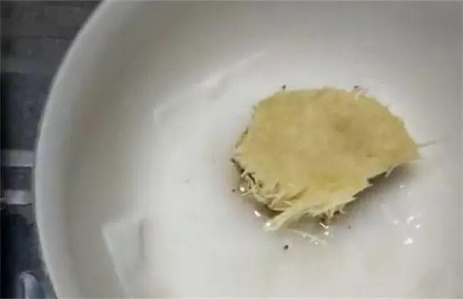 金针菇别买了, 切断根丢盆里, 7天冒出小脑袋!