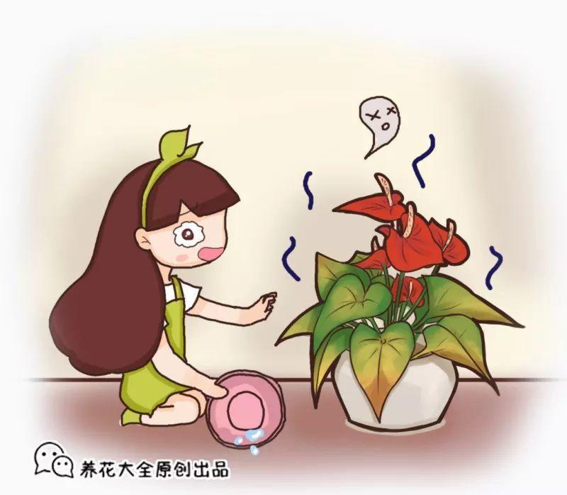 天一热就黄叶? 学会这一招, 叶子绿的能反光!
