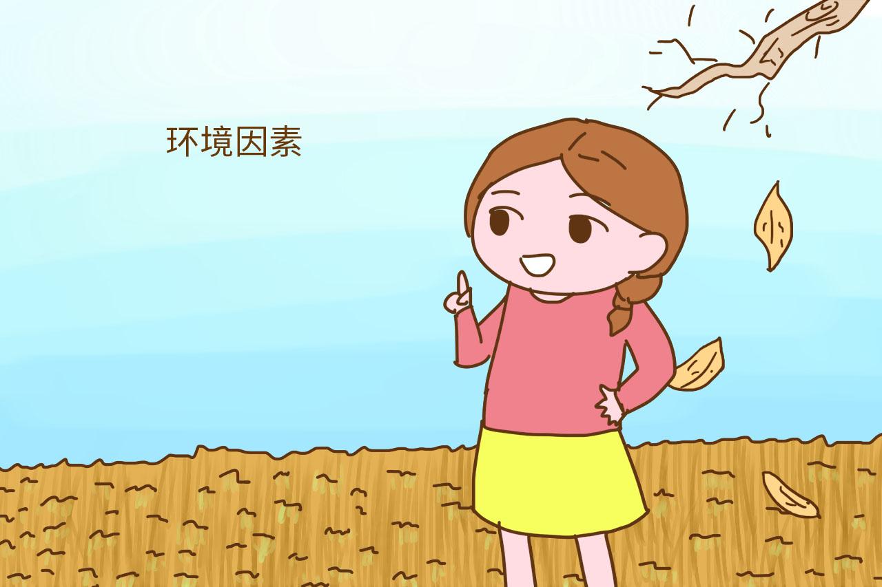 一年12个月, 很适合坐月子的月份, 幸运的你赶上了吗?