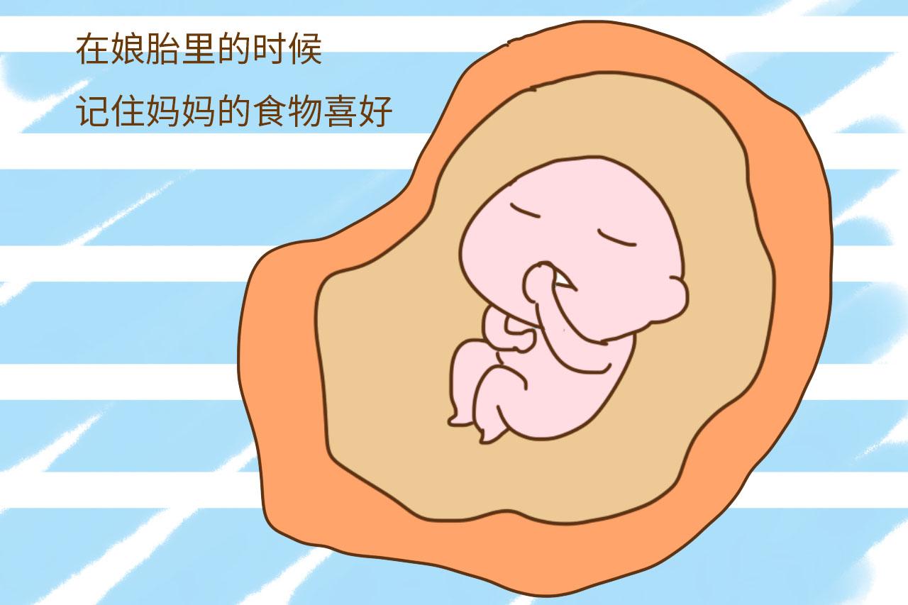 宝宝多大有记忆力? 过了这个年龄段, 他可能什么都记得