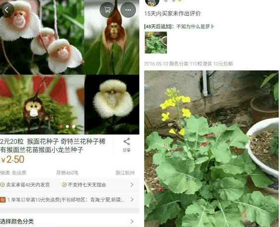 奇葩买家秀|您的裤子已下线..