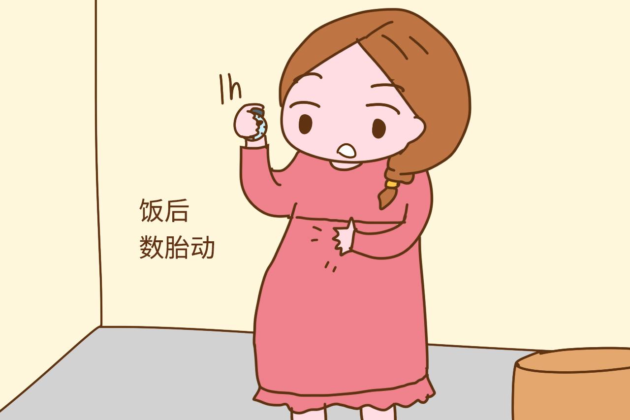 胎宝宝喜欢在哪些时间段睡觉? 知道答案后, 孕妈就可以陪着一起睡