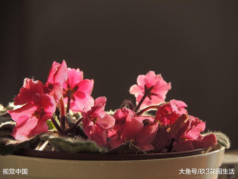 如何让瓷盆和釉盆在种花的时候更加透气?