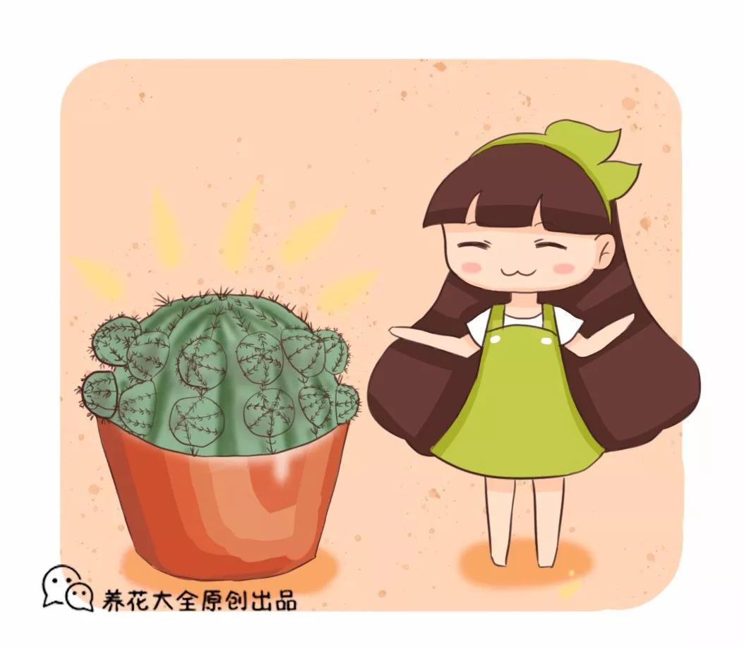 仙人球一个孤零零? 狠心切一刀, 小崽呼呼冒不停!