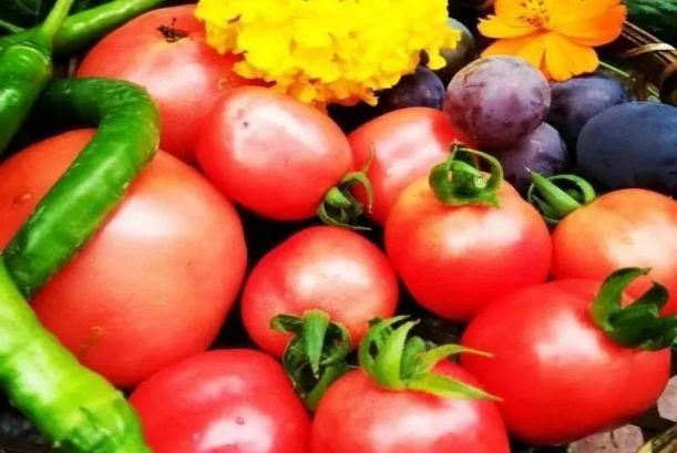 娶了爱养花的女人, 种花种菜样样行, 你就等着享福吧!