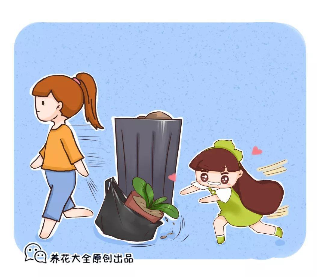 周末去这转一转, 花和花盆随便捡, 一分钱不花!