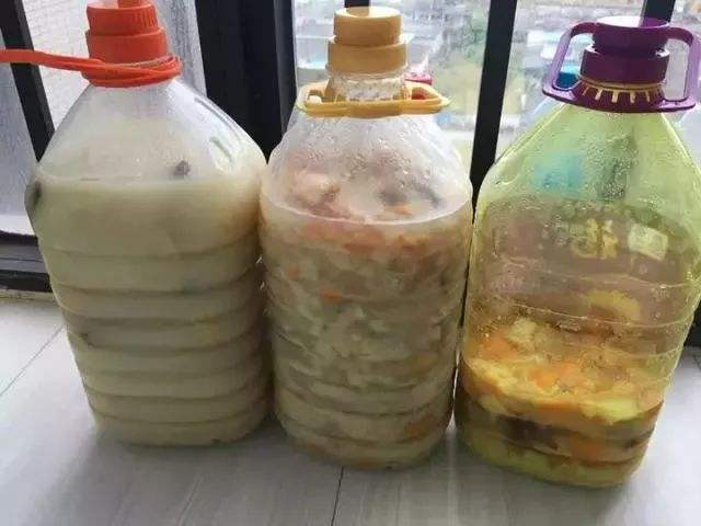 冬天“养花”别愁, 在家制作这3种“万能肥”, 防冻长势旺!