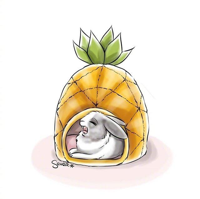最近很流行的心情说说句子, 总有一句说到你心坎里