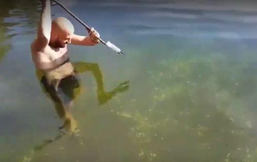手拿一木棍在水中叉鱼, 上来一鱼身单薄、两边颜色不一样的怪鱼