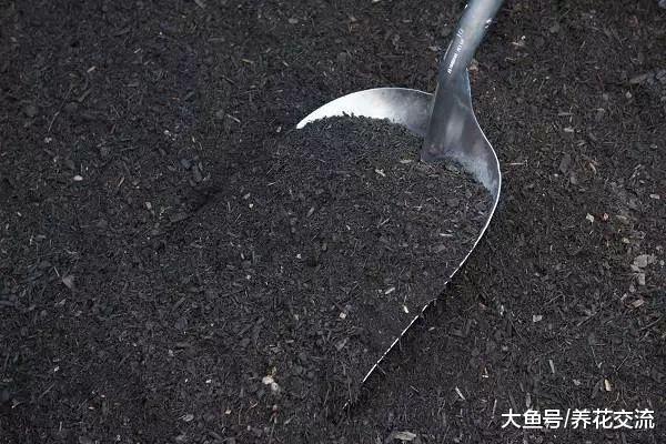 七种常见的有机液肥制作技巧, 养花不买化学肥料都没问题