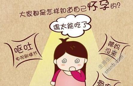 孕早期超级犯困, 容易生女孩?