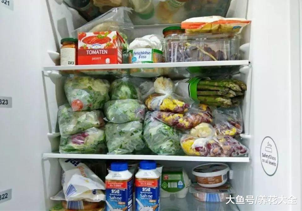 1毛钱小苏打丢水池, 臭味跑光光, 脏东西全没了!