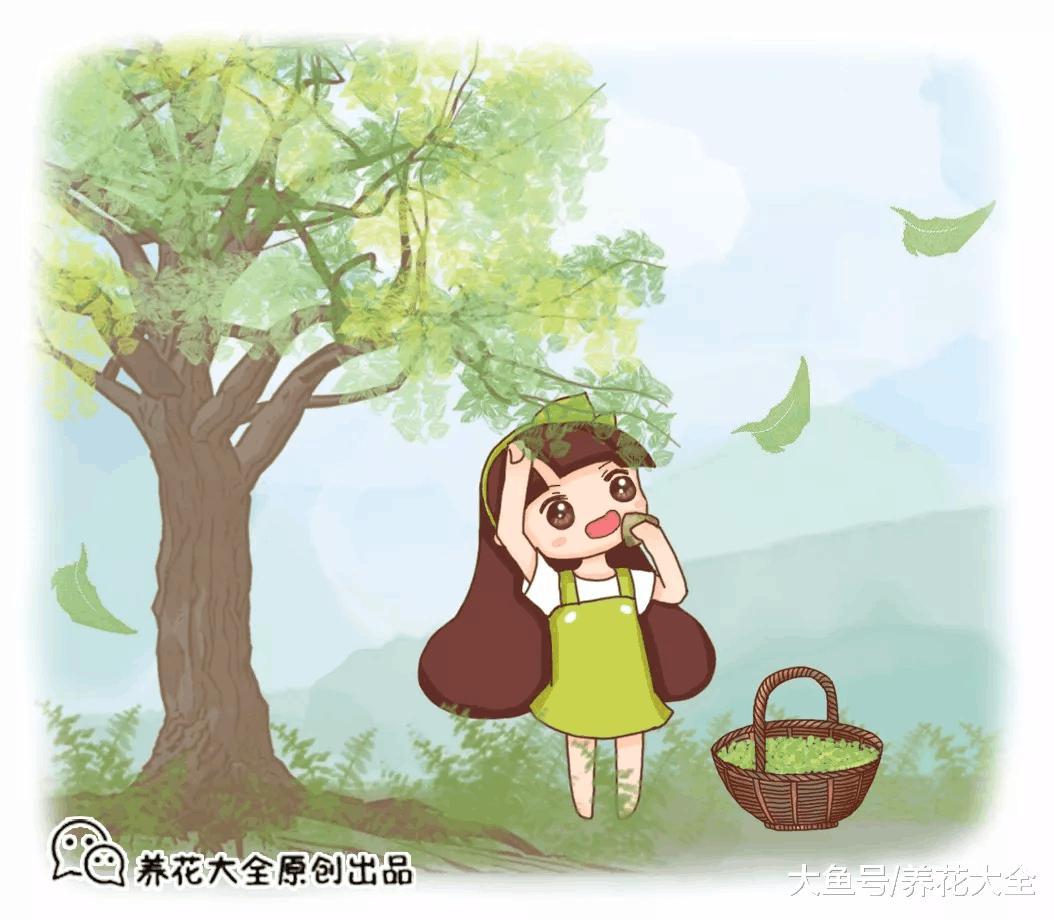 春天摘把它, 让你一年有“榆”钱, 舌尖感受“椿”天!