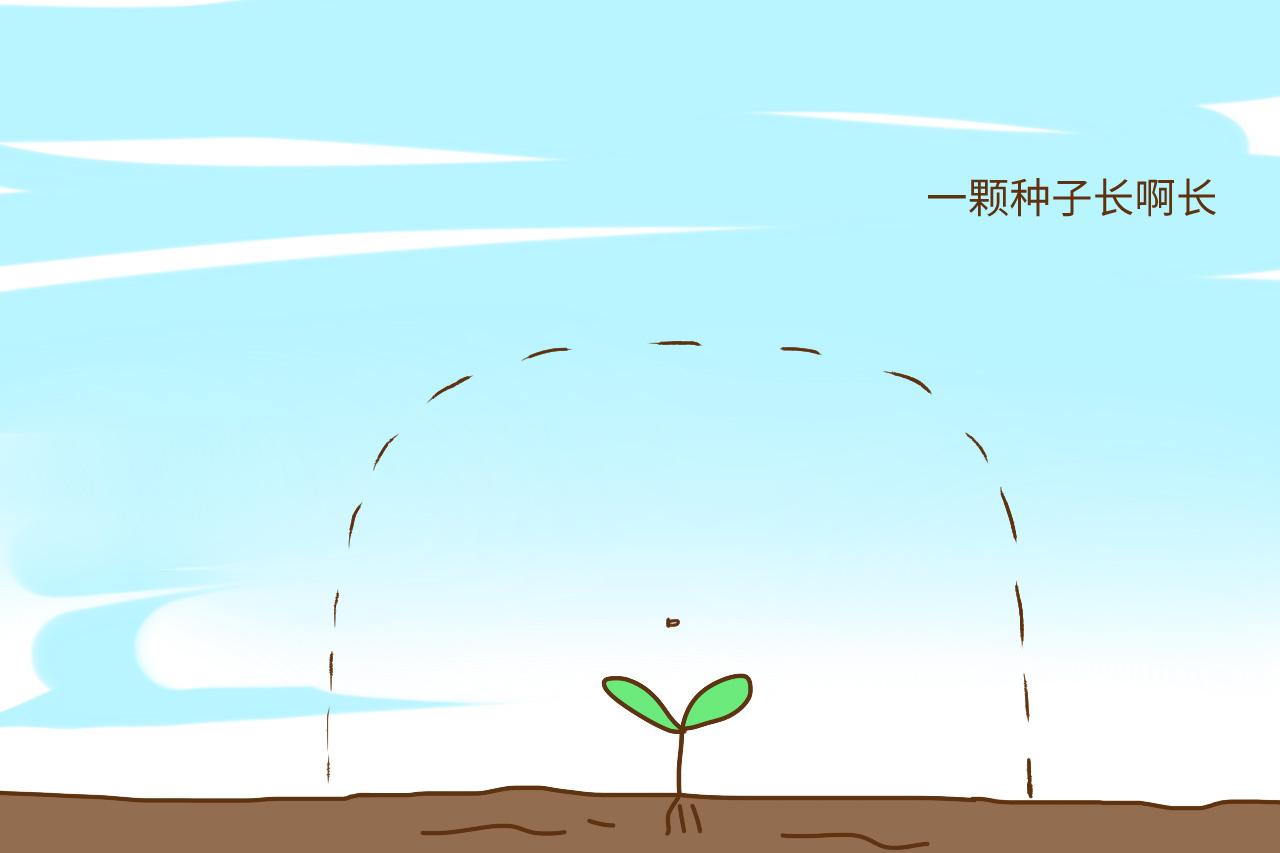 如果孩子问你他从哪里来, 你该怎么回答? 给你一个完美答案
