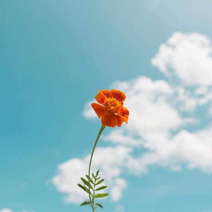 一句话噎死人的经典语录, 句句透彻!