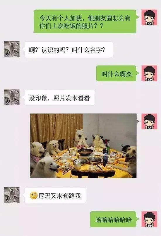 套路是我学的, 撩你是真心的, 精选5句撩妹套路聊天句子一问一答