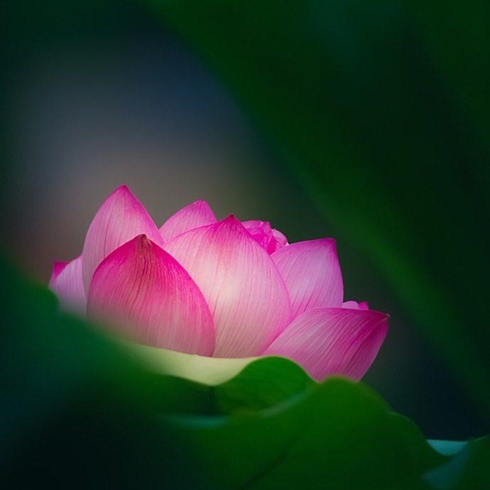 很现实的人生哲理句子, 句句精辟(深度好文)