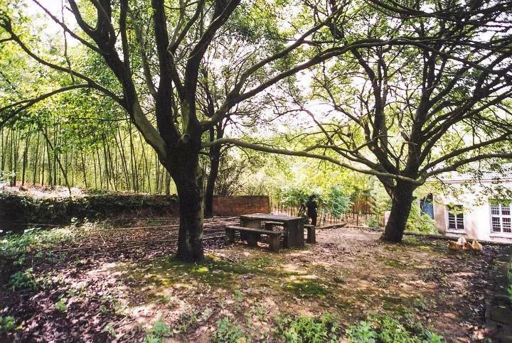 68岁爷爷, 打造的最美私家花园, 老外都慕名而来!