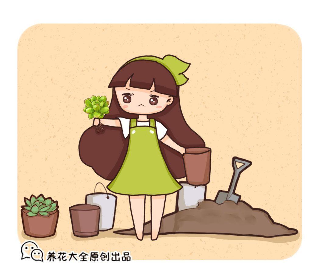 秋天一个小动作, 花多活10年, 越早知道越好!