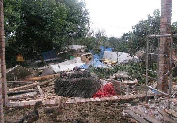 她用3年时间, 把鸡窝打造成了花园, 处处鸟语花香!