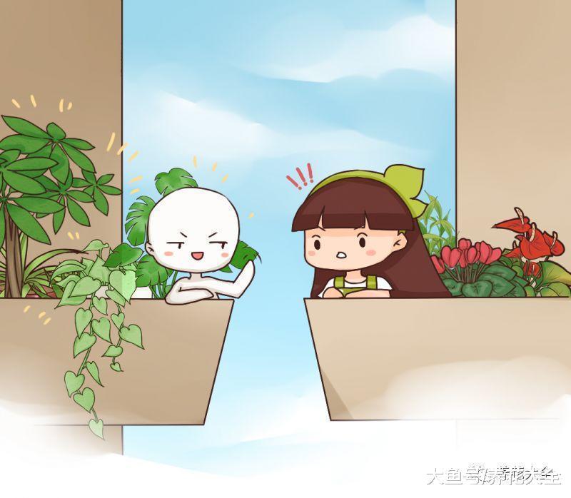 竹芋越养越蔫? 关几天小黑屋, 叶子绿的发亮!
